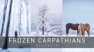 Frozen Carpathians, Malé Karpaty v zime | Winter cinematic video