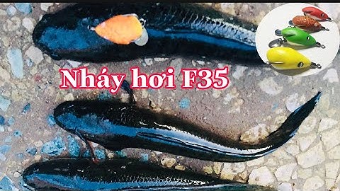 Nháy Hơi F35 . Nháy Hơi Câu Cá Lóc,Lure Cá Lóc Nhạy Nhất.Tets Thực Tế Mồi Câu Cá Lóc Nháy Hơi F35