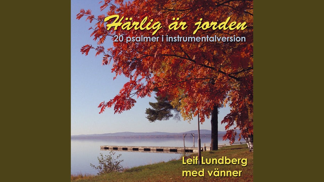 Jag Lyfter ögat Mot Himmelen