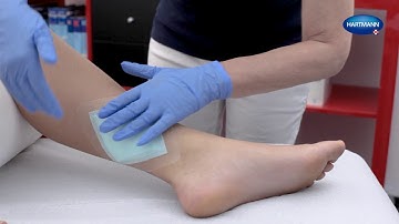 How to apply Zetuvit® Plus Silicone Border?