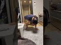 たまに凄いことする彼氏wwww #shorts