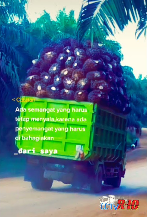 Story WA truk sawit#truk oleng#pejuang rupiah#truk indonesia
