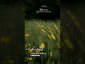 Día 22: Gracias por la libertad #shorts