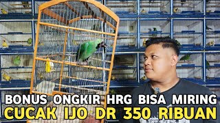 CUMA DISINI DAPET FREE ONGKIR KACER JTN DR 175 RIBUAN CAK IJO DR 350 RIBUAN PASAR BURUNG PRAMUKA 