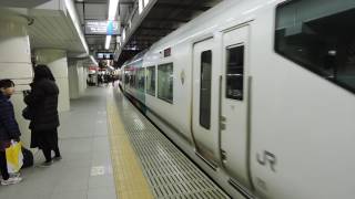 E257系0番台 9+2両編成 新宿駅発車