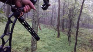 1st Deer with my new elite energy 35, I love this Bow.