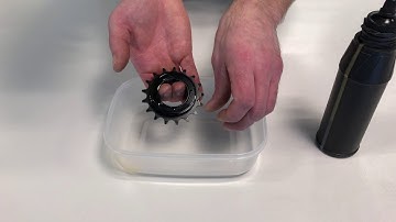 Halo Clickster Freewheel Servicing