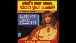 ANDREA TRUE CONNECTION:  "WHAT'S YOUR NAME, WHAT'S YOUR NUMBER?" [12" EXTENDED DISCO MIX] [1977] Wealth