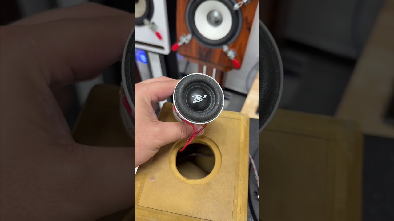 B2 subwoofer, 2" mibass