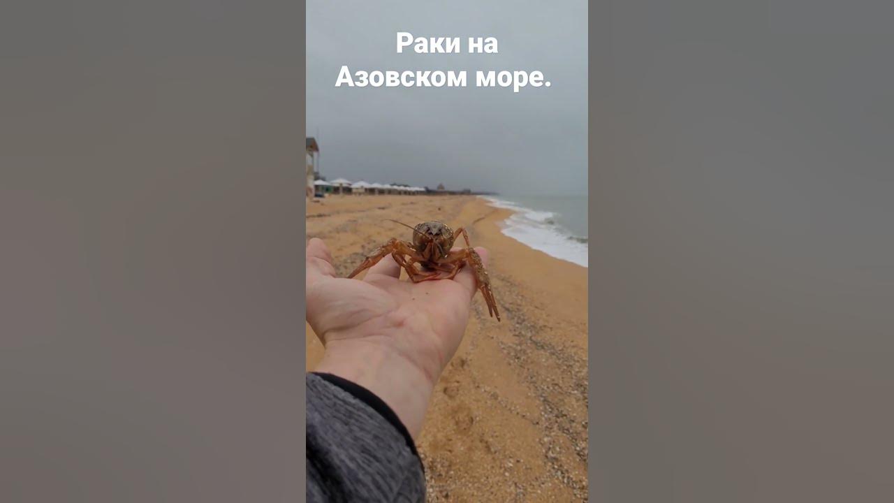 Декабрь на пляже