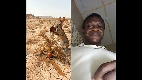 Rabbit saved the carrot plant from drying up by watering it 😭 #ai​ #save​ #tree​ #rabbit​