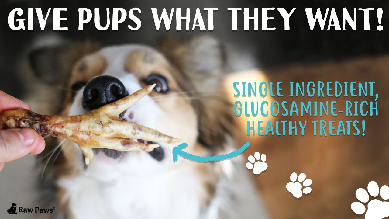 Hearty smoked chicken feet with a crunch your dog will love! Raw Paws Pet Food