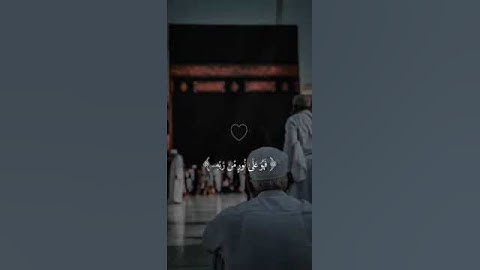 {أفمن شرح الله صدره للأسلام فهو هو على نور من ربه} القارئ ياسر الدوسري 🕊️☁️ حالات واتس اب