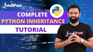 Python Inheritance | Inheritance In Python | Intellipaat