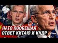 «Россия в отчаянии»: НАТО и США гот