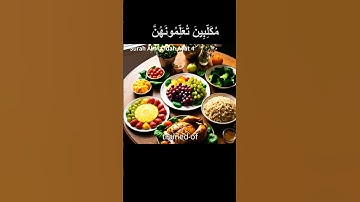 Quran English translation Surah Al-Ma’idah  سورة المائدة Surat No 5 Ayat No 4 #holybook #quran