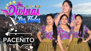 LAS DIVINAS Y LOS FIELES _ PACEÑITO
