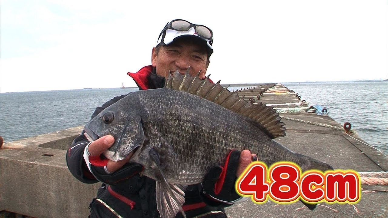 大阪湾の沖一文字で激釣 フカセ釣りでチヌを狙う 四季の釣り 19年3月8日放送 Youtube