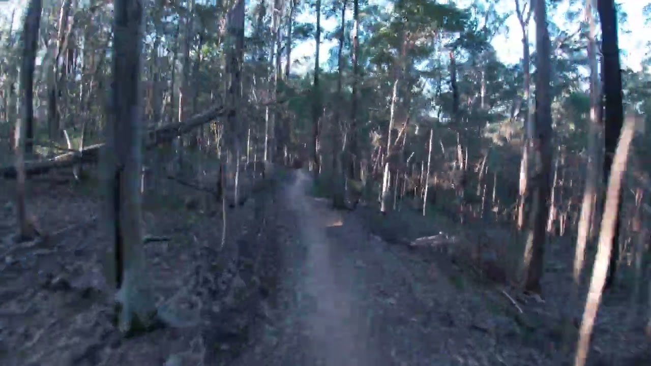 Powerful Howl - Eastern Escarpment