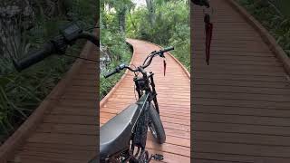 Jeffry #automobile #bike #ebike #bikelover #history #sunset #illusion #colonelkkjϟ #휙봐 #velocifero