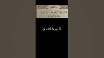 قَالَ رَبِّ إِنِّى ظَلَمْتُ نَفْسِى / سورة القصص #قرآن #قران_كريم