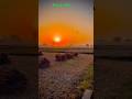 Laika kisan ke #shortmusic #song #shortsongs #shorts #farming