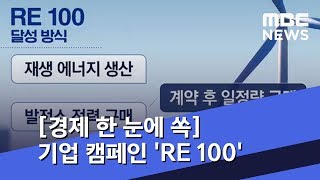 [경제 한 눈에 쏙] 기업 캠페인 'RE 100' (2018.12.03/뉴스투데이/MBC)