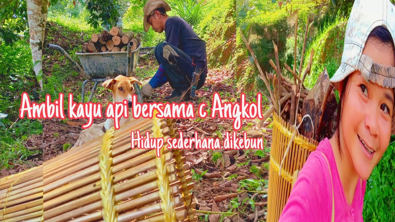Hidup Sederhana Dirumah Kebun 🏡🐕| Cari Kayu Api🪓🪵😇 - YouTube