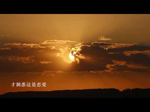 樱花树下 张敬轩  （动态歌词）flac无损音乐