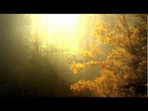 MDCrew | DnB Dance | Cry & Dance