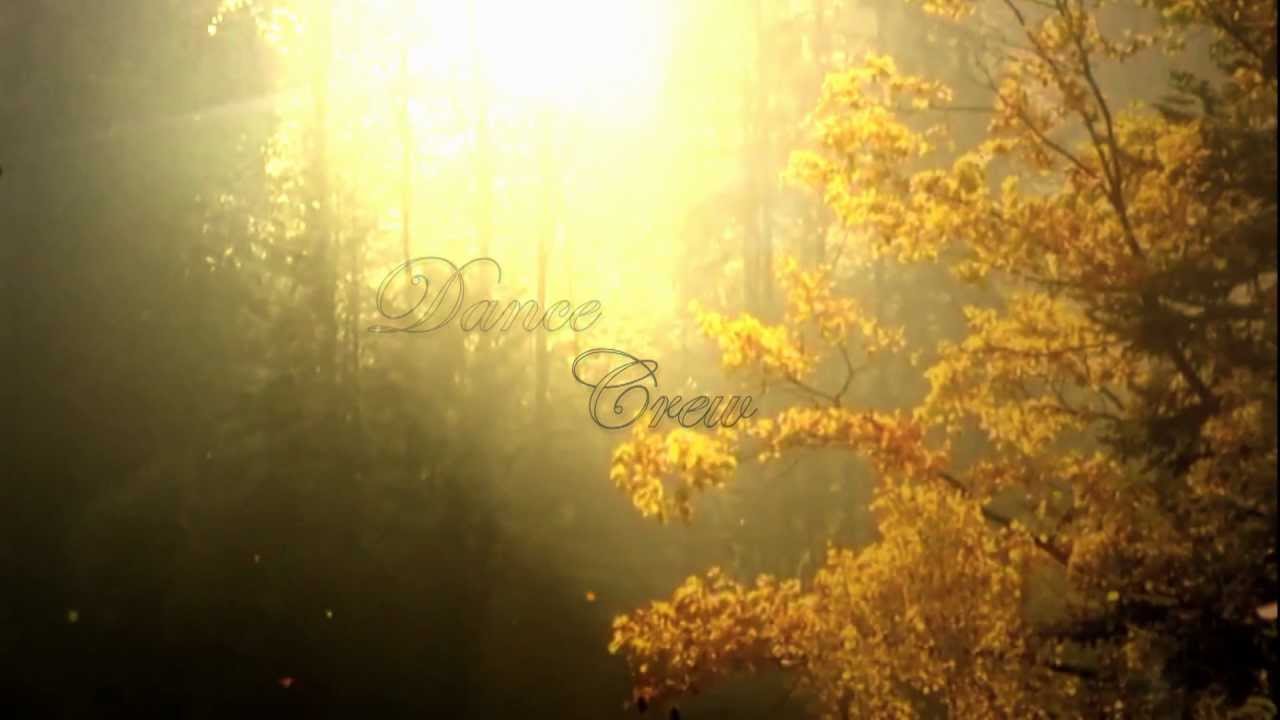 MDCrew | DnB Dance | Cry & Dance