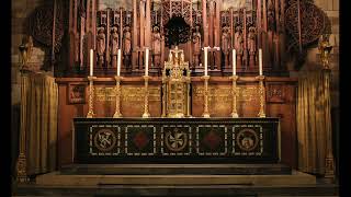 RCIA: Baptism and Confirmation (January 10, 2022)