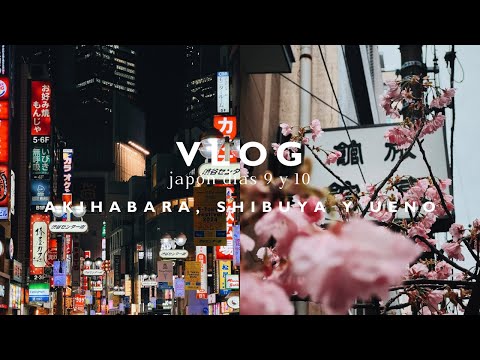 VLOG Japón | días 9 y 10 - Akihabara, Shibuya y Ueno