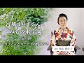 第二回 まり子さんとガード下の靴みがき