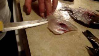 How to Fillet a Bluegill in 40 Seconds!!