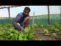       successful farmer from darchula nepal