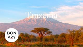 Natural Beauty and Rich Culture: Tanzania