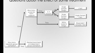 Deciding on a hypothesis test tree (Module 1 9 10)