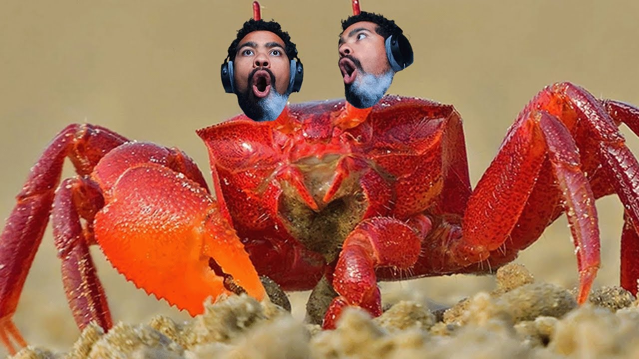 Dom... THE CRAB MAN (crazy gameplay 🤣)
