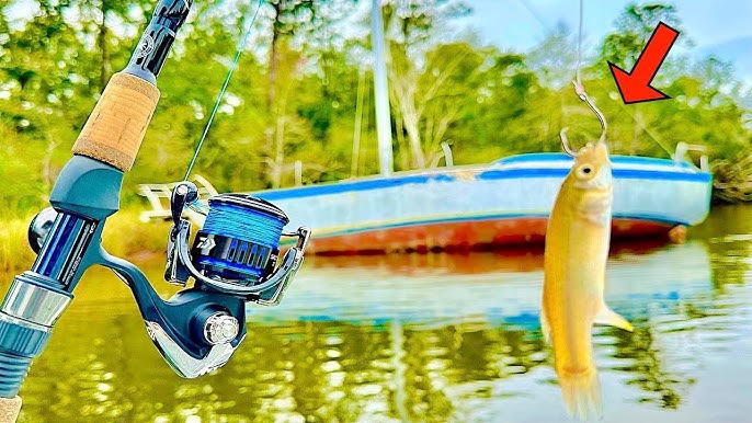 Fishing a LIVE! PINFISH over a Sunken ARMY TANK for my DINNER