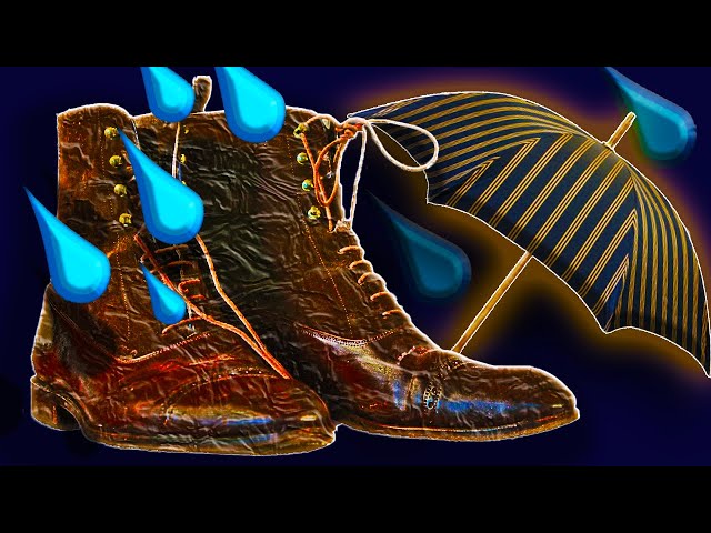 Shoe Dye  Shoe Wizards