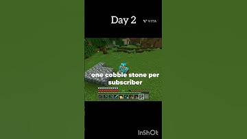 "Day 2 of adding one cobblestone per subscriber "