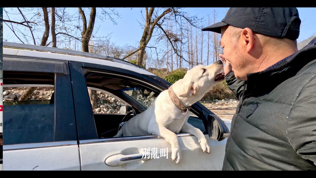 回到貴州，在江邊洗車，車上到處是狗毛，太難清理了