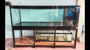 It มหาชัย : ร่วมทีม "ใหม่คนแบกตู้" ขนย้าย + สลับที่ตู้ปลา 96 & 72 + งานระบบจบพร้อมลงทีมปลาทอง Set 2