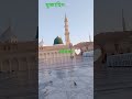 মদিনা কে ভালোবাসা 🤍 #মদিনা #রওজা #নবি #নবিজীর
