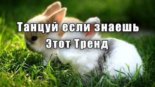 💥Танцуй если знаешь этот тренд🐇ТРЕНДЫ Тиктока 2023🐇