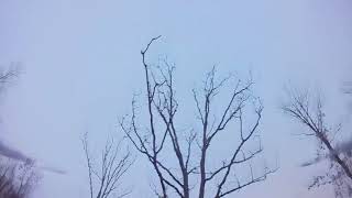 6 Inch 5S With T-Motor F80 2200Kv... Wow