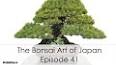 The Art of Bonsai: A Miniature Masterpiece ile ilgili video