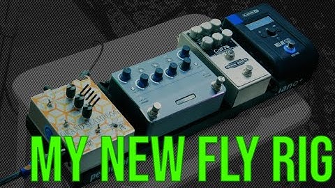 MY NEURAL DSP NANO CORTEX FLY RIG FOR BASS!