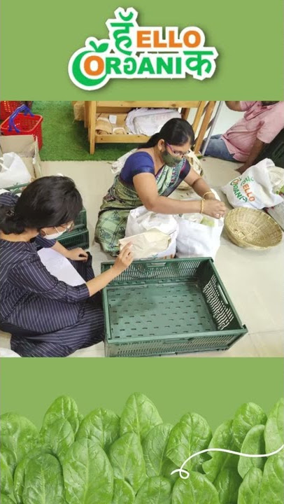 Fresh Organic Vegetables & Fruits | Order Now From Hello Organik